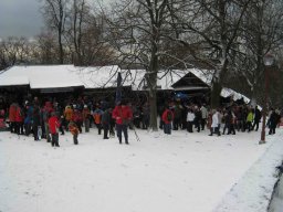 silvestr 2011